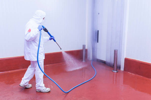 Best Winterizing Services  in Shepherd, MI