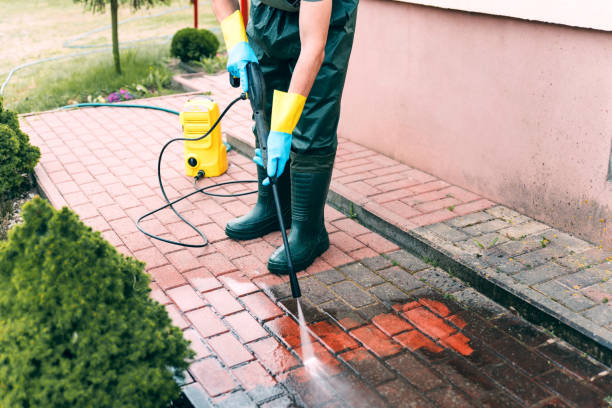  Shepherd, MI Pressure Washing Pros
