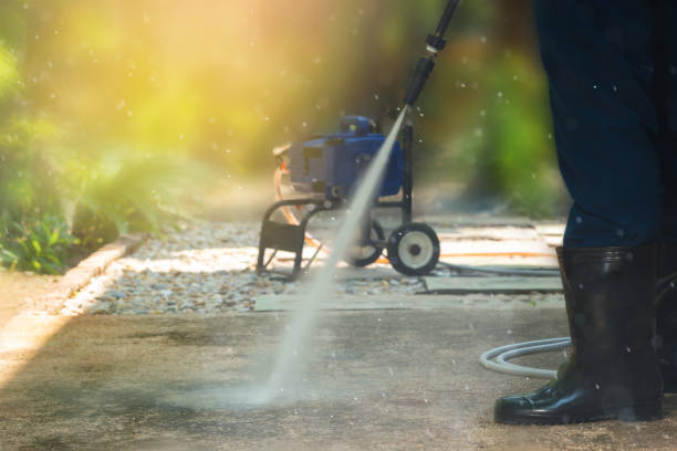 Best Graffiti Removal  in Shepherd, MI